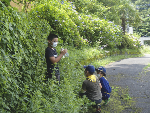 日野2団カブ隊の活動写真その33