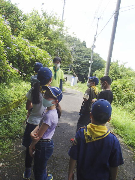 日野2団カブ隊の活動写真その36