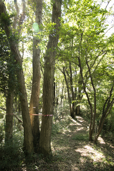 日野2団カブ隊の活動写真その21