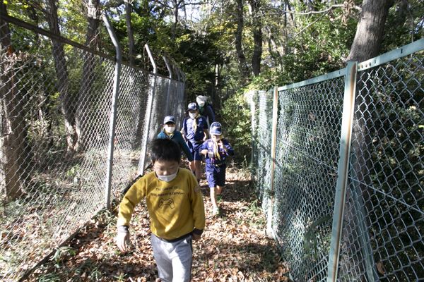 日野2団カブ隊の活動写真その34