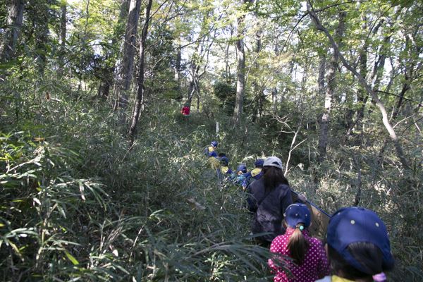 日野2団カブ隊の活動写真その37