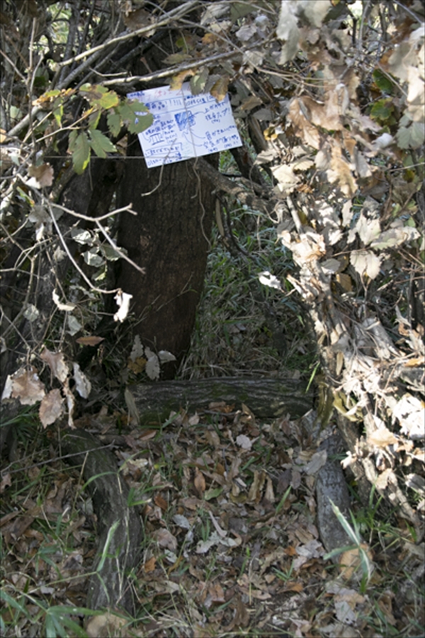 日野2団カブ隊の活動写真その36