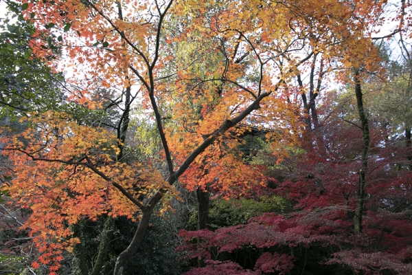 日野2団カブ隊の活動写真その9