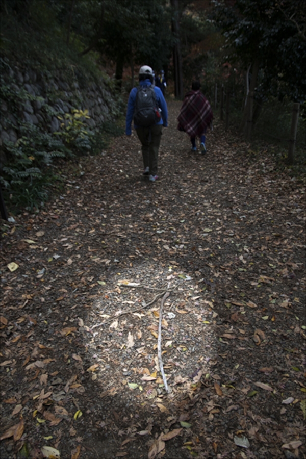 日野2団カブ隊の活動写真その11