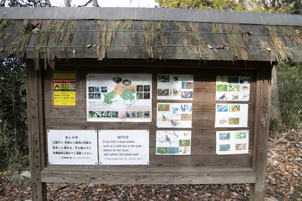 日野2団カブ隊の活動写真その30