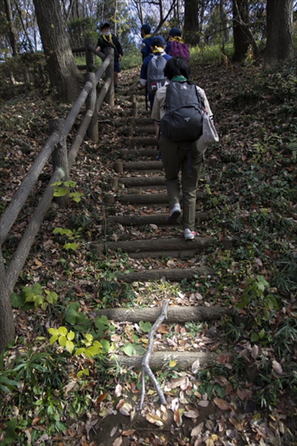 日野2団カブ隊の活動写真その31