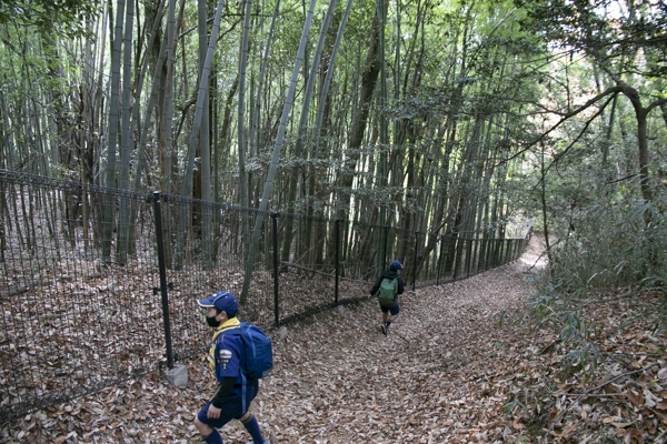 日野2団カブ隊の活動写真その35