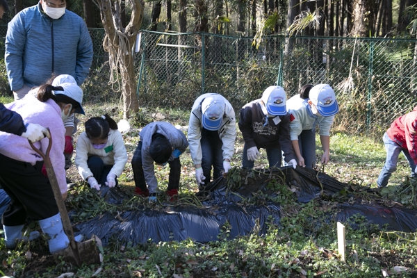 日野2団カブ隊の活動写真その74