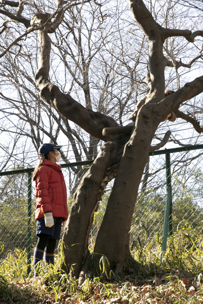 日野2団カブ隊の活動写真その1