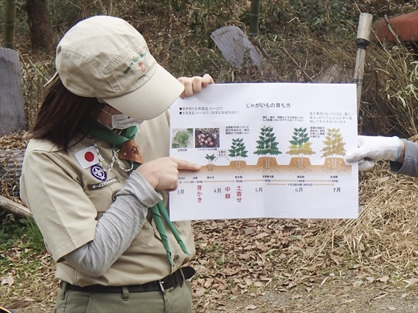 日野2団カブ隊の活動写真その3