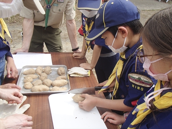 日野2団カブ隊の活動写真その15