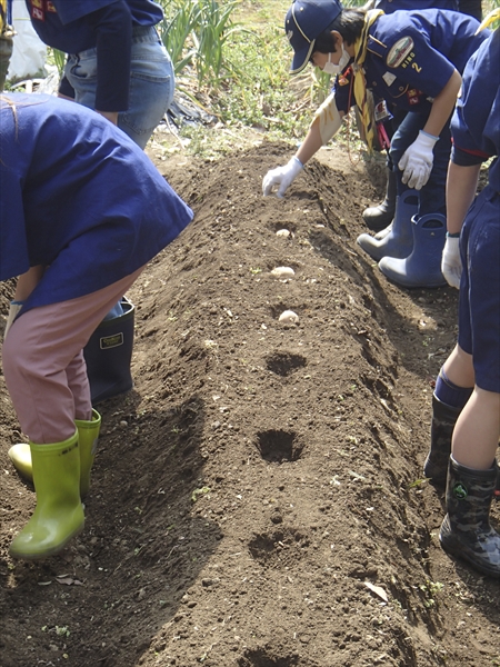 日野2団カブ隊の活動写真その22