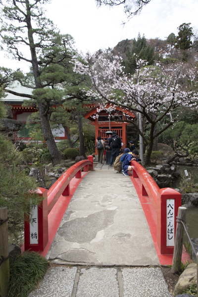 日野2団カブ隊の活動写真その34