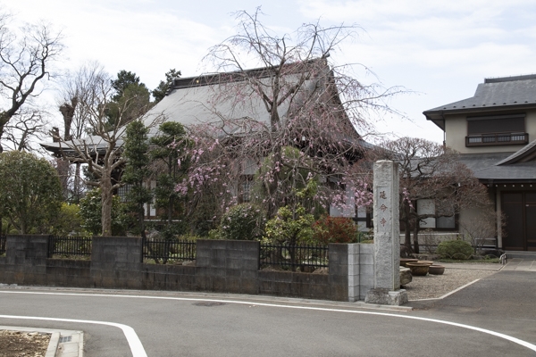 日野2団カブ隊の活動写真その41