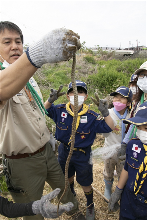 日野2団カブ隊の活動写真その24