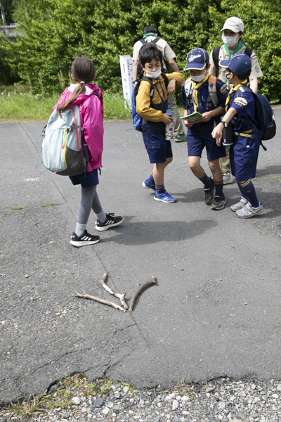 日野2団カブ隊の活動写真その19