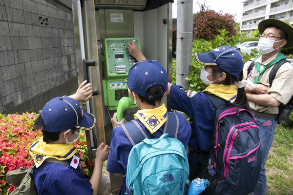 日野2団カブ隊の活動写真その49