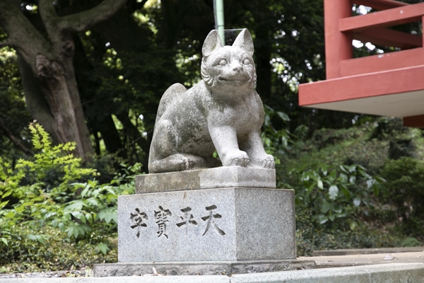 日野2団カブ隊の活動写真その53