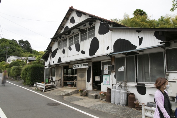 日野2団カブ隊の活動写真その58