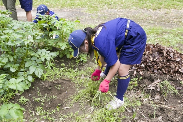 日野2団カブ隊の活動写真その43