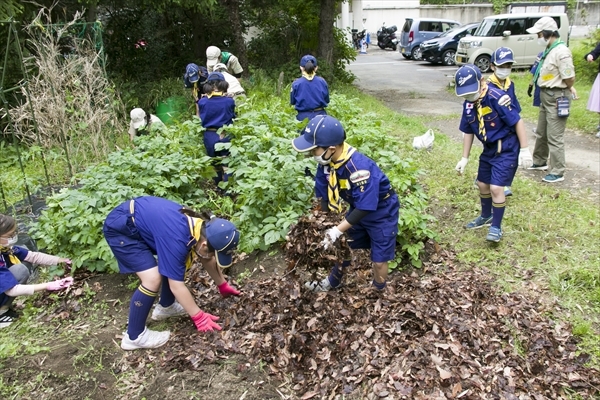 日野2団カブ隊の活動写真その44