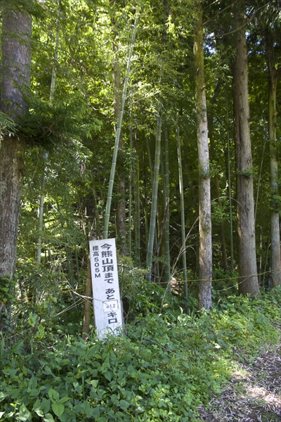 日野2団カブ隊の活動写真その25