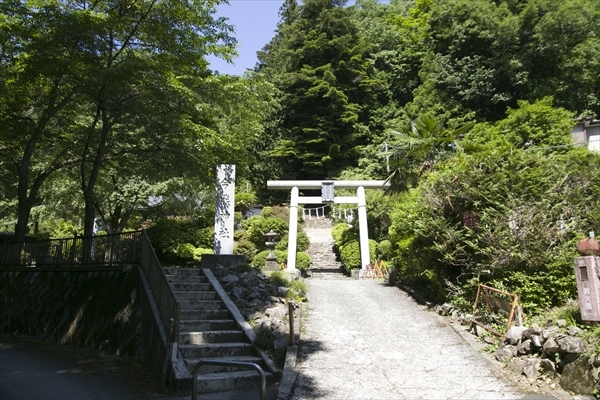 日野2団カブ隊の活動写真その26