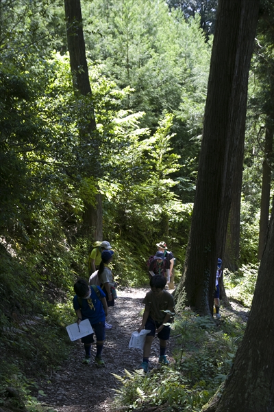 日野2団カブ隊の活動写真その34