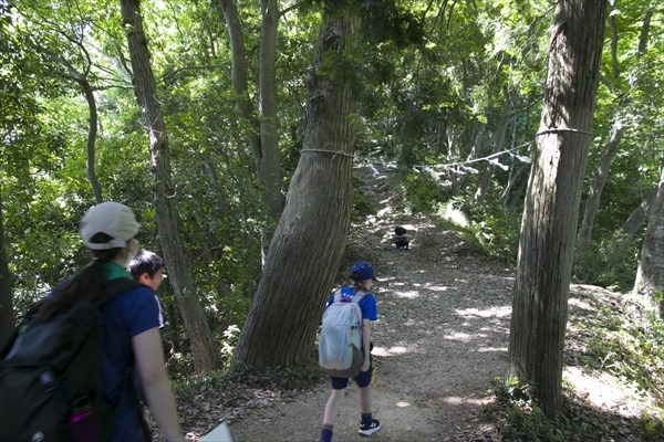 日野2団カブ隊の活動写真その39