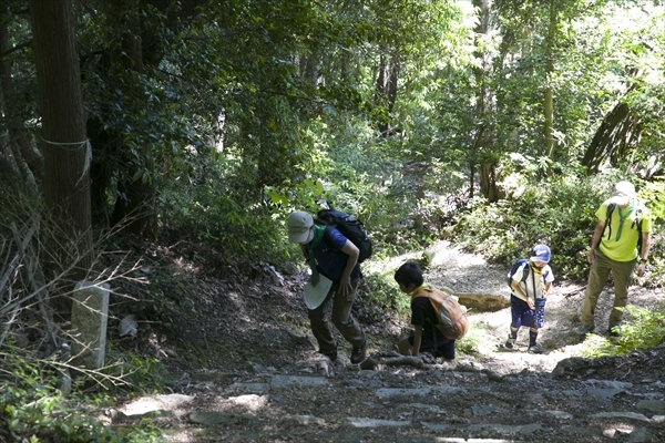 日野2団カブ隊の活動写真その41