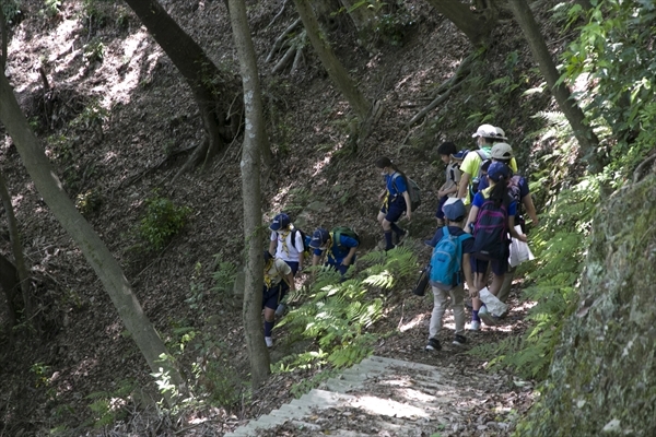 日野2団カブ隊の活動写真その54