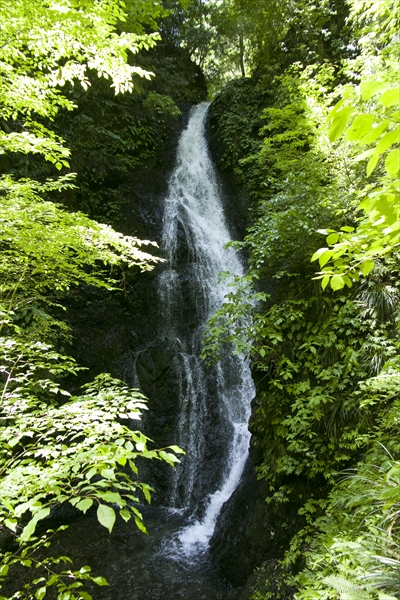 日野2団カブ隊の活動写真その72