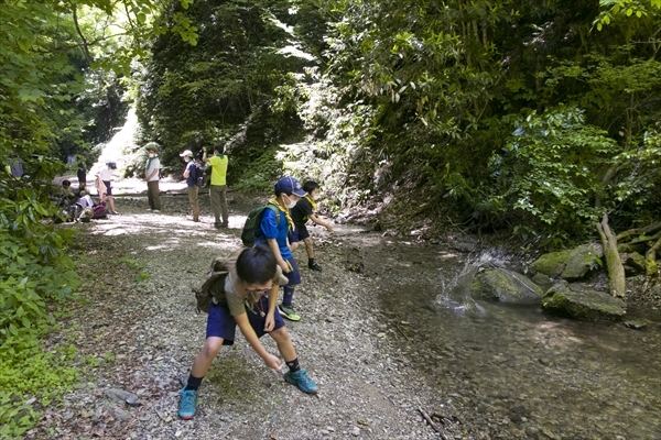 日野2団カブ隊の活動写真その78