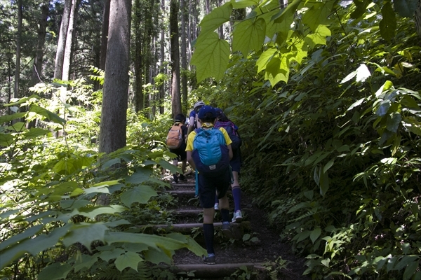 日野2団カブ隊の活動写真その80