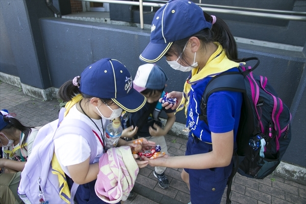 日野2団カブ隊の活動写真その100