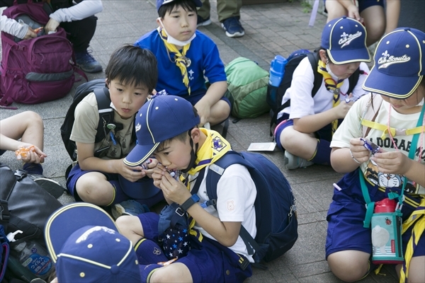 日野2団カブ隊の活動写真その101