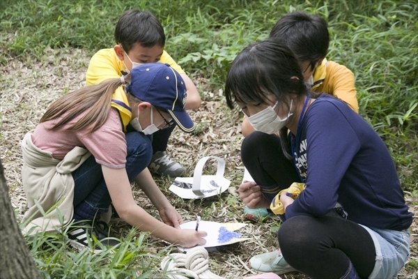 日野2団カブ隊の活動写真その48