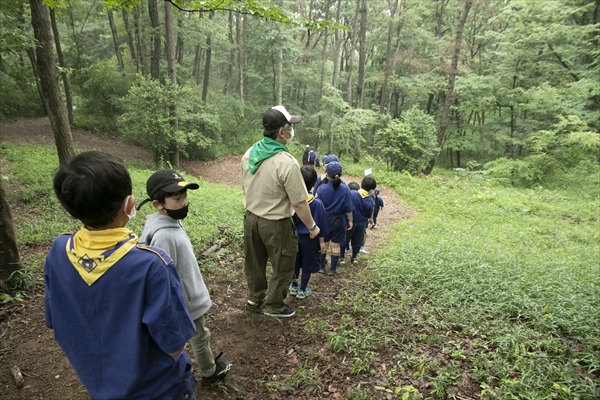 日野2団カブ隊の活動写真その11