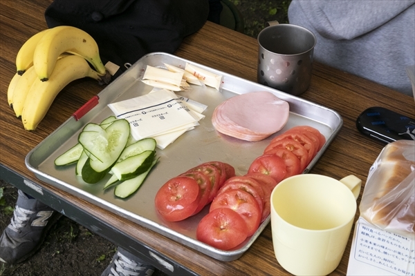 日野2団カブ隊の活動写真その23