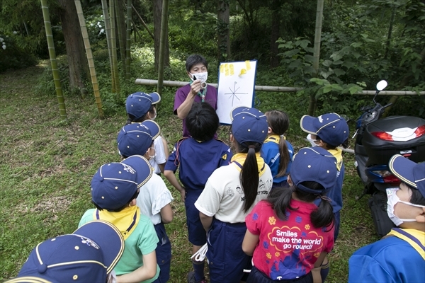 日野2団カブ隊の活動写真その4