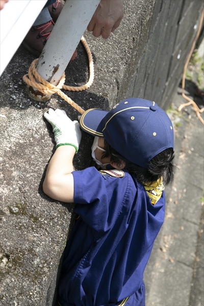 日野2団カブ隊の活動写真その31