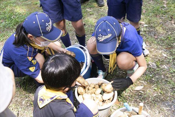 日野2団カブ隊の活動写真その13