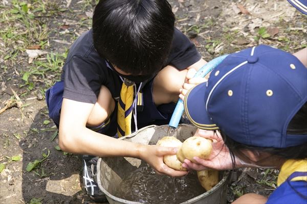 日野2団カブ隊の活動写真その14