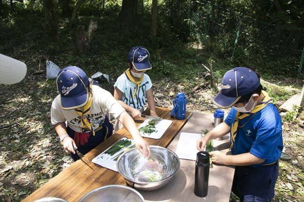 日野2団カブ隊の活動写真その22