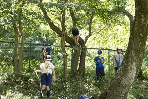 日野2団カブ隊の活動写真その45