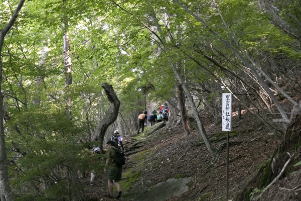 日野2団カブ隊の活動写真その11