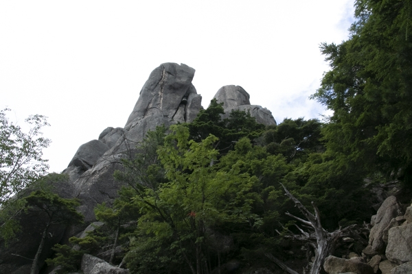 日野2団カブ隊の活動写真その35