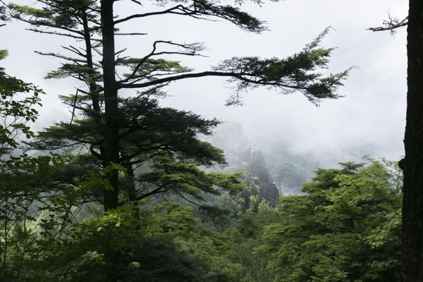 日野2団カブ隊の活動写真その37