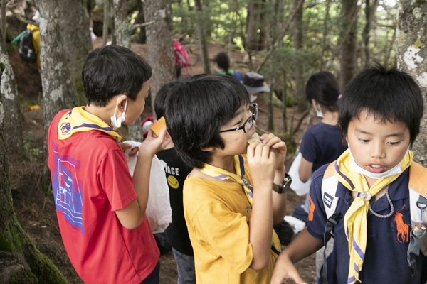 日野2団カブ隊の活動写真その51