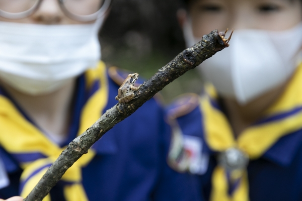 日野2団カブ隊の活動写真その3